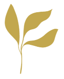 项目信息 - 彩客网5