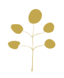 项目信息 - 彩客网5